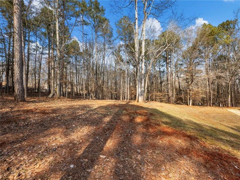 Natural landscape and outdoor views near  in Winder (Image 50).