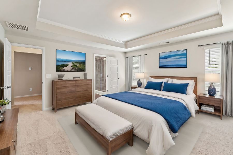 Oversized primary bedroom with trey ceiling