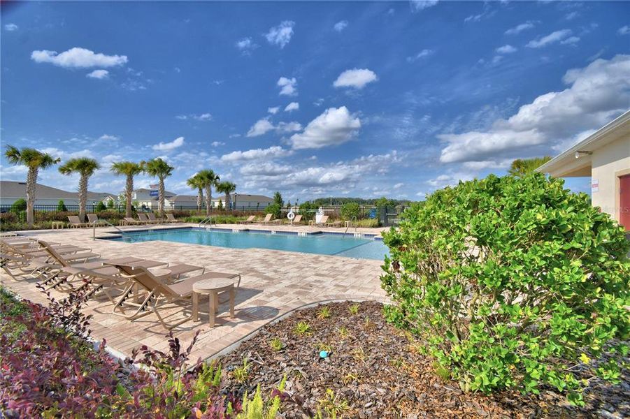 Site preparation for new homesites in Harmony at Lake Eloise, Winter Haven (Image 83).