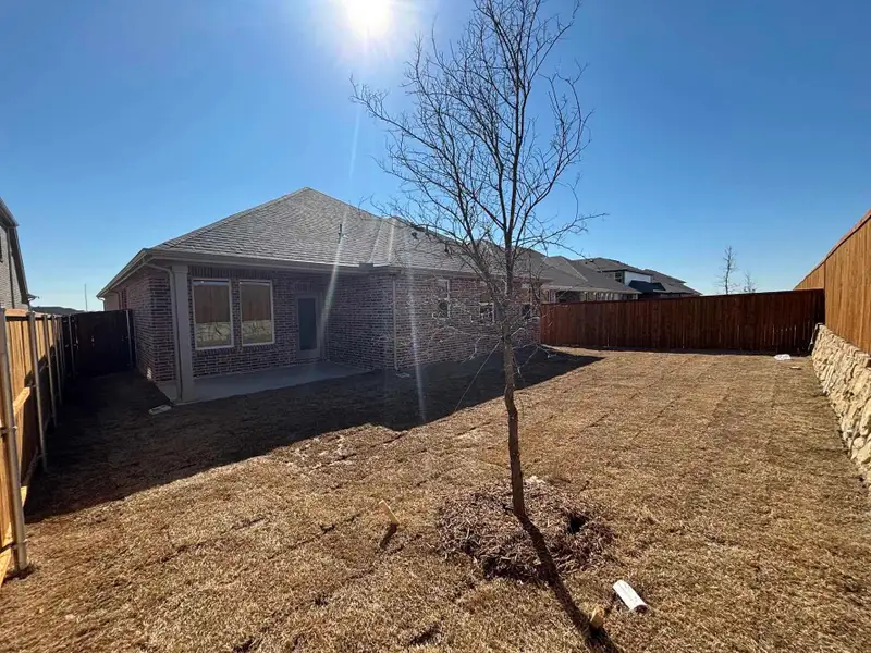 Rear Exterior Design Construction Progress