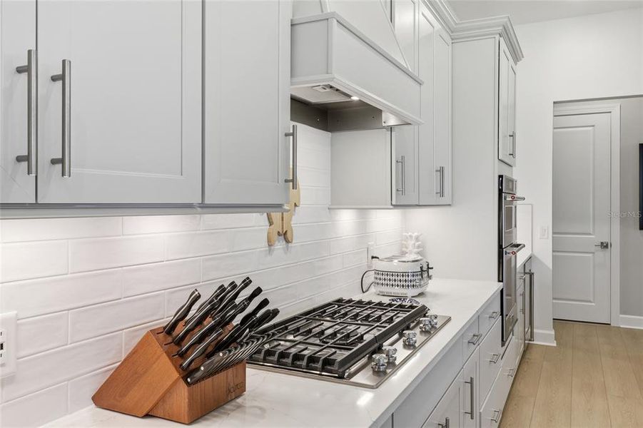 Furnished interior view inside a new home in , Lakewood Ranch (Image 45).