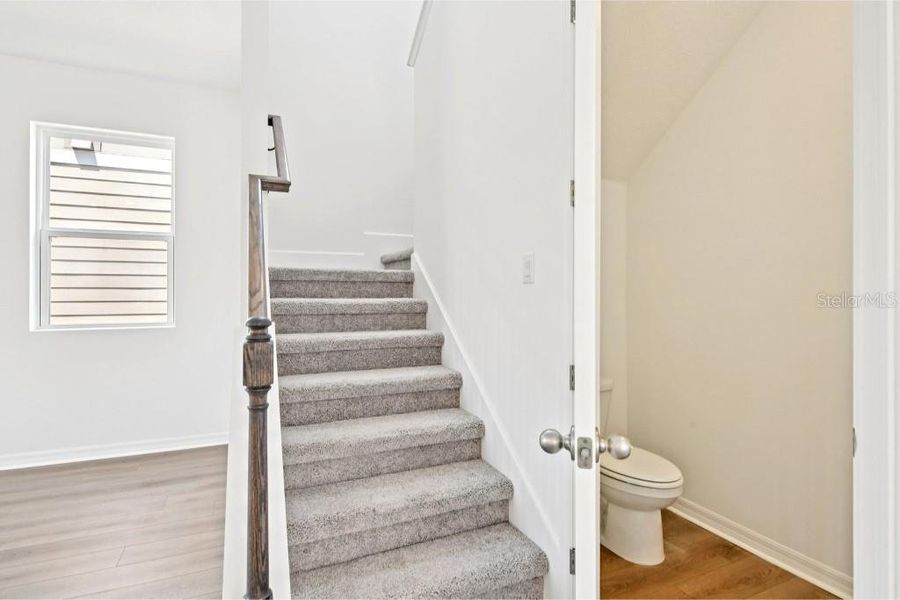 Powder Bath Powder Bath