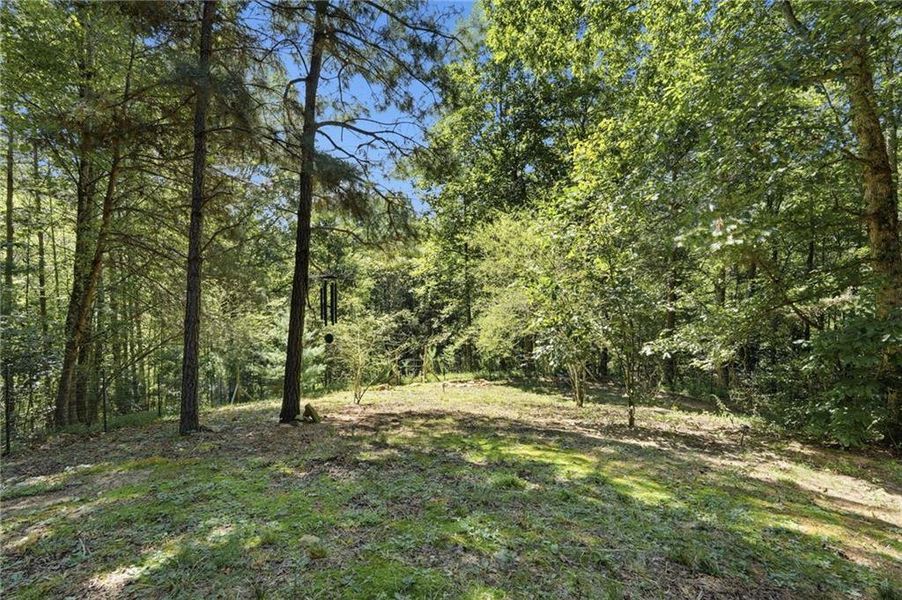 Natural landscape and outdoor views near  in Ellijay (Image 54).