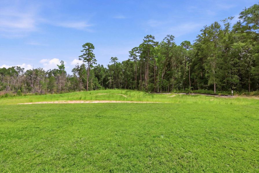 Natural landscape and outdoor views near Oak Grove in Conway (Image 27).