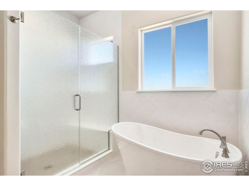 Free Standing Tub and Shower