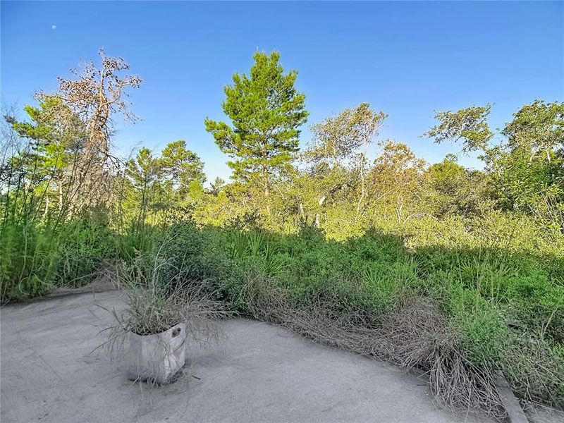 Natural landscape and outdoor views near  in Poinciana (Image 40).