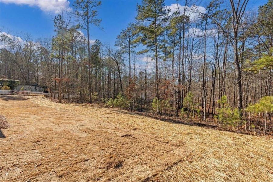 Natural landscape and outdoor views near  in Villa Rica (Image 35).