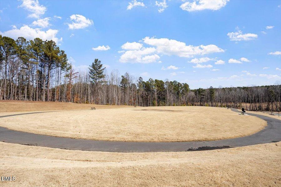 42-Edge of Auburn NA_06