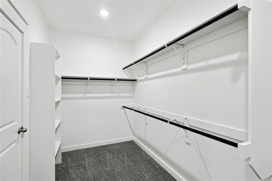 Walk in closet featuring dark colored carpet