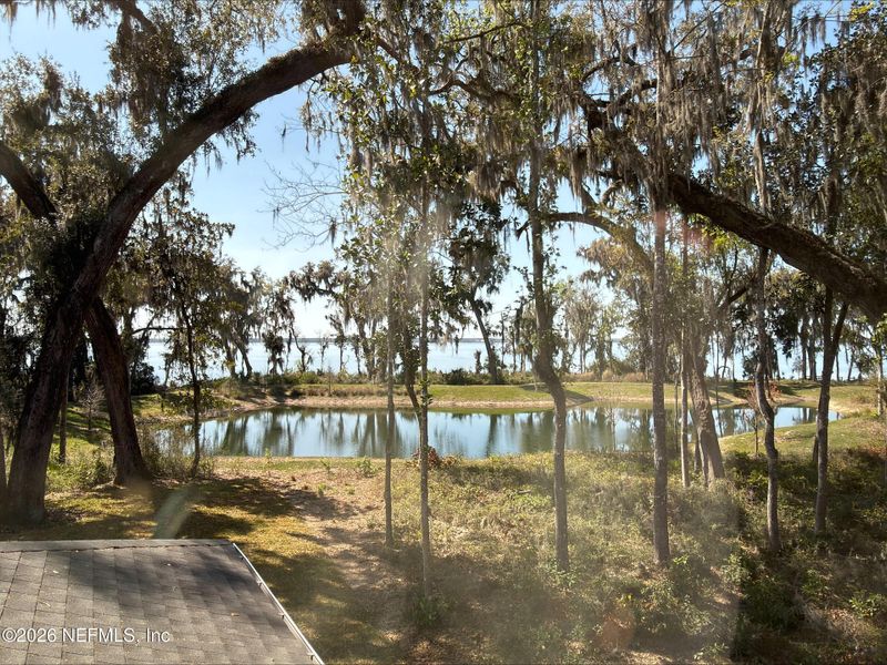 Natural landscape and outdoor views near  in St. Johns (Image 32).