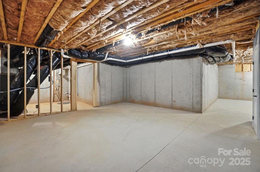 Unfinished Basement Storage