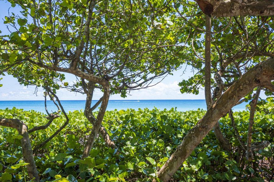 Near beautiful beaches Near beautiful beaches