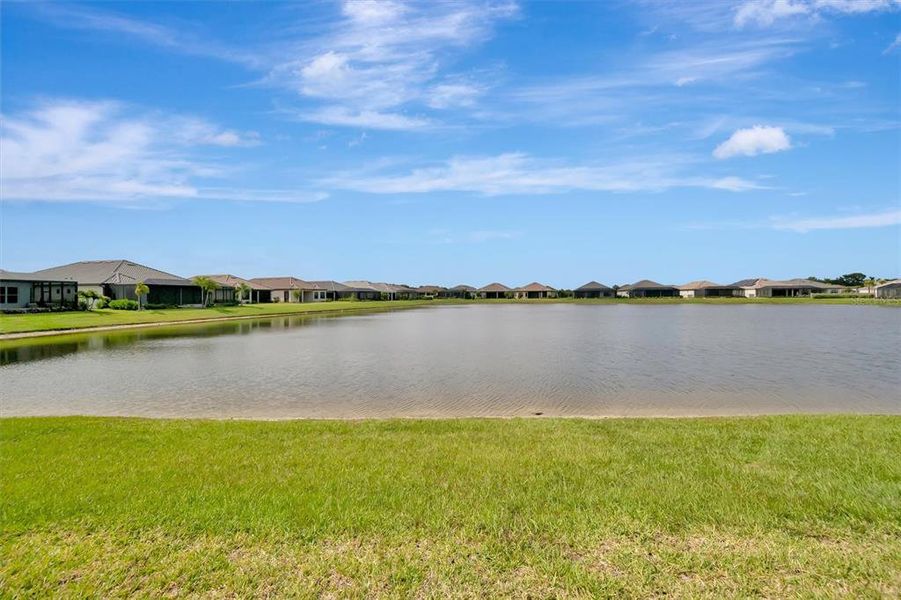 Natural landscape and outdoor views near  in Palmetto (Image 84).