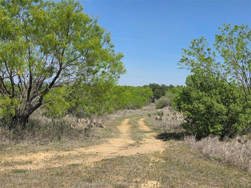 Natural landscape and outdoor views near  in San Saba (Image 11).