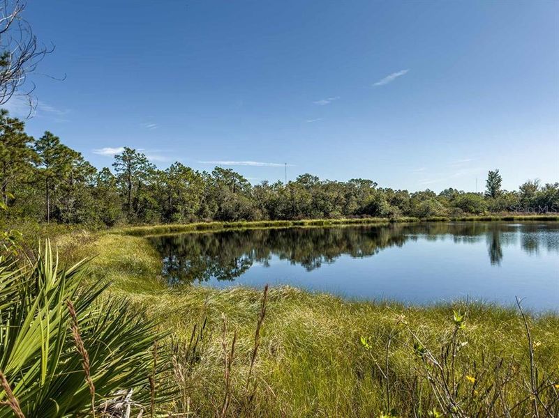 Bell Creek Nature Preserve