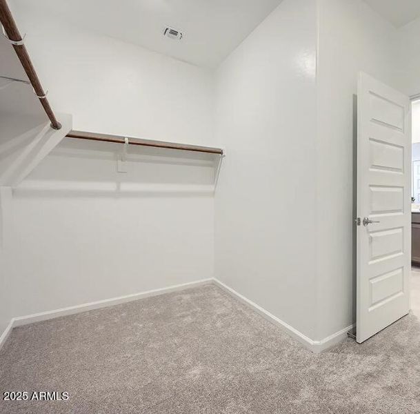 Owners Walk in Closet Owners Walk in Closet