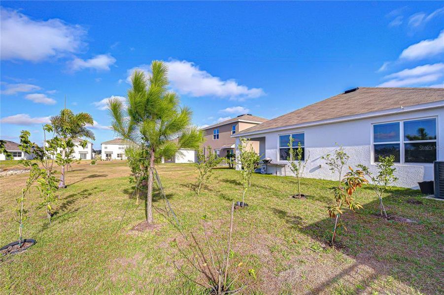 Exterior details and patio area of a home in , Zephyrhills (Image 27). Exterior details and patio area of a home in , Zephyrhills (Image 27).