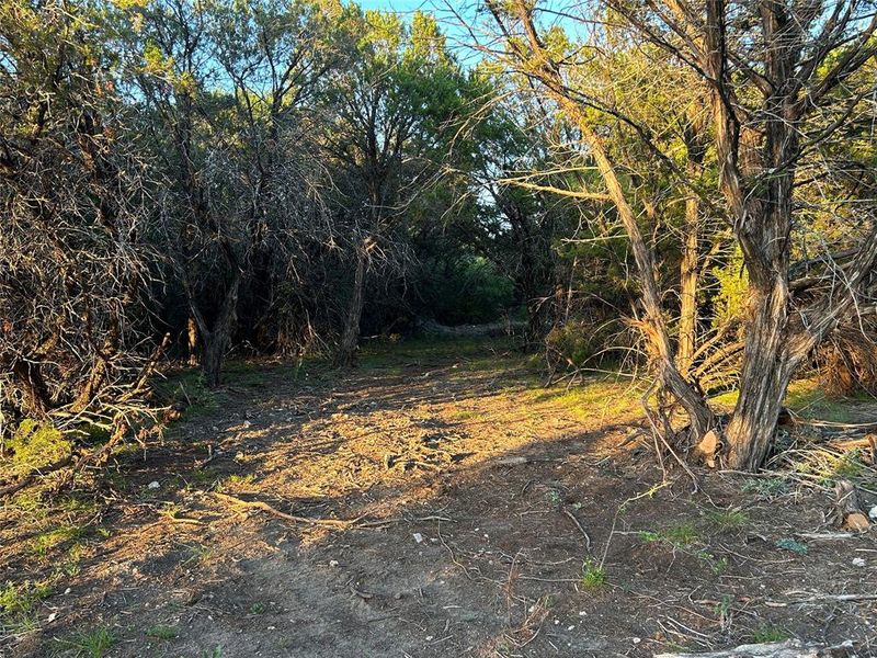 Natural landscape and outdoor views near  in Goldthwaite (Image 13).