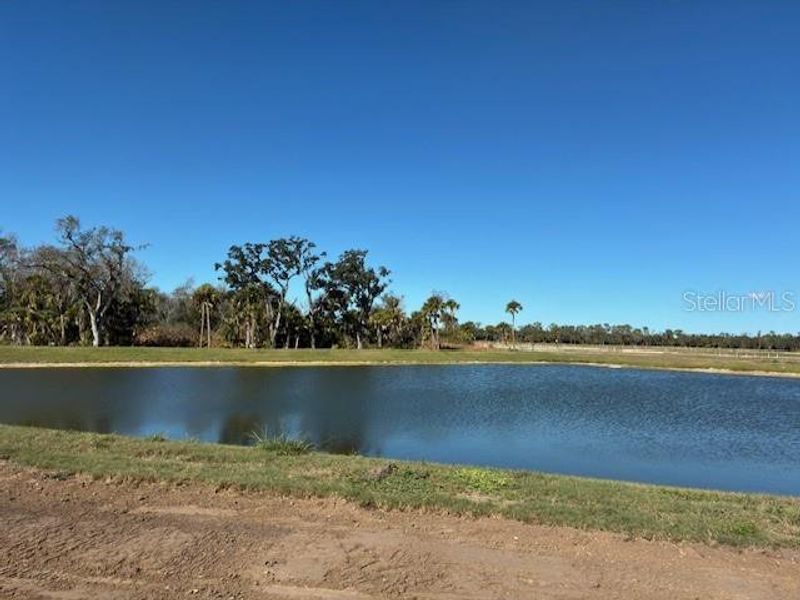 Natural landscape and outdoor views near Oakfield Trails Traditional in Parrish (Image 7).