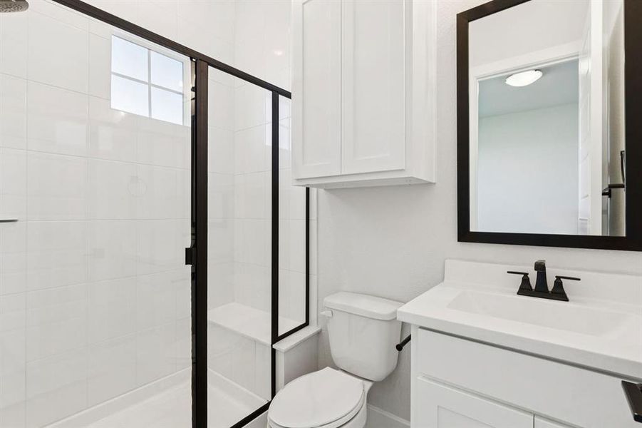 23-121Swan_023 23-121Swan_023