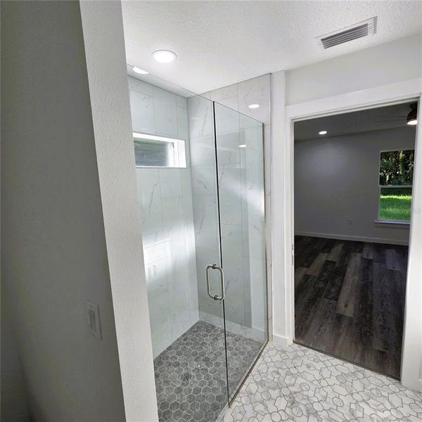 Elegant Glass Shower Door