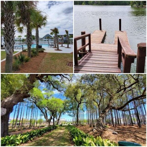 Natural landscape and outdoor views near Heron's Walk at Summers Corner in Summerville (Image 10).