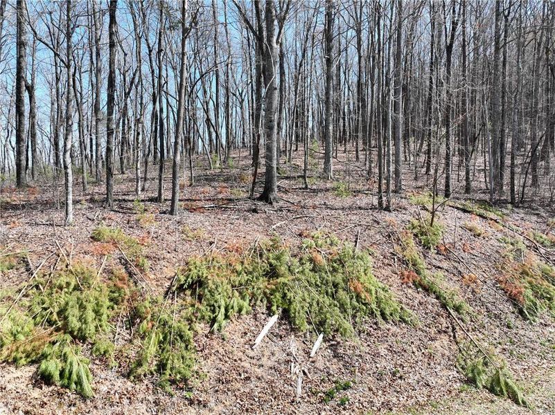 Image 15 of a home in . Image 15 of a home in .