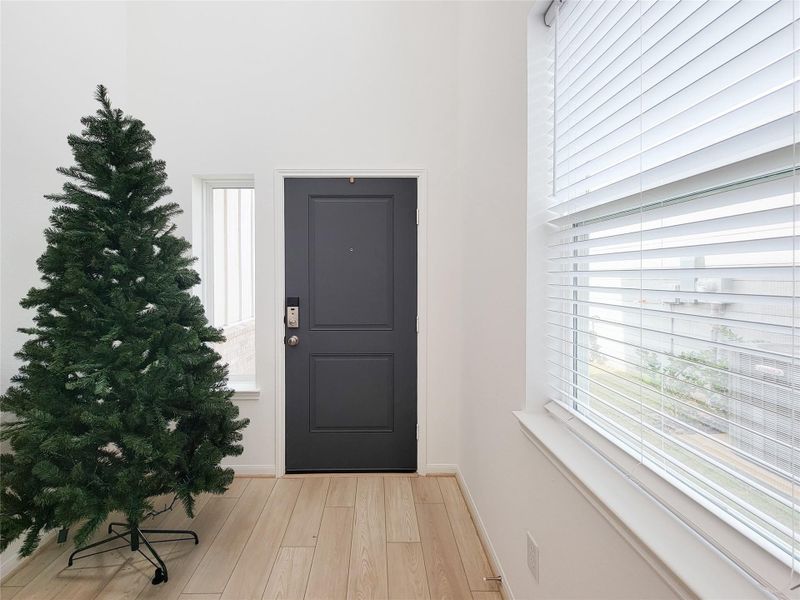 Bright entryway with a dark front door, large windows with blinds, and light wood flooring. There's space for decor, like the standing tree visible in the corner.