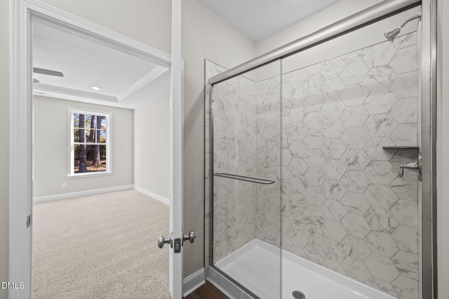 28-web-or-mls-0C0A9443