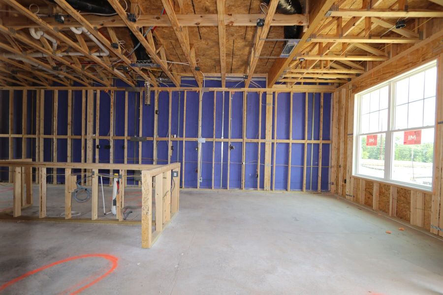 Framing Framing