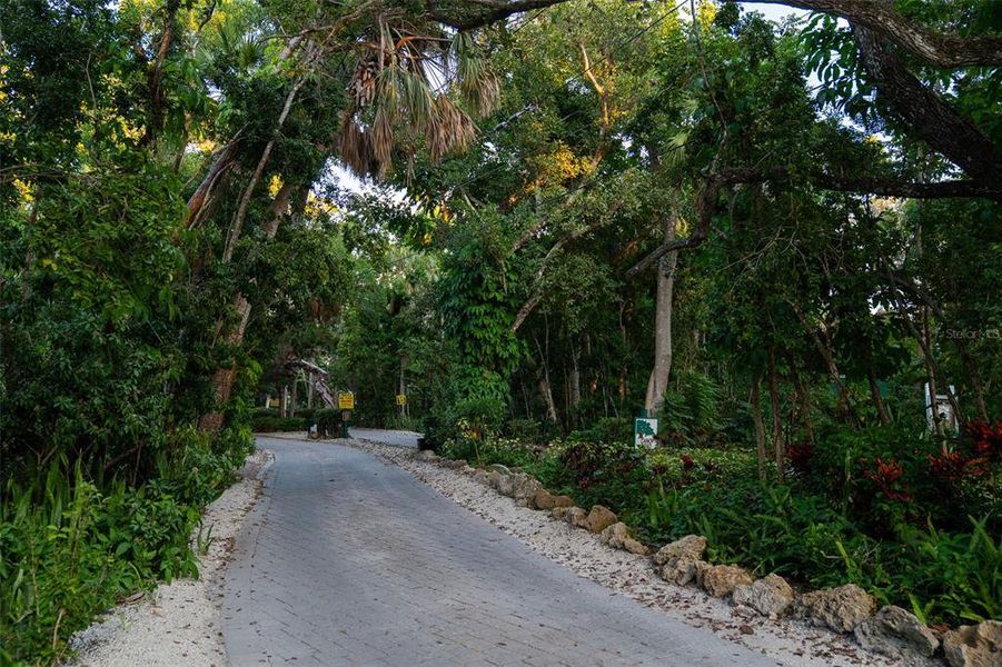 Natural landscape and outdoor views near  in Sarasota (Image 19).
