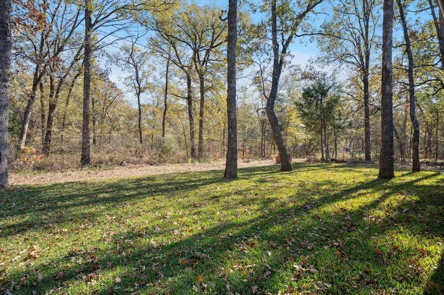Natural landscape and outdoor views near  in Trinidad (Image 33).