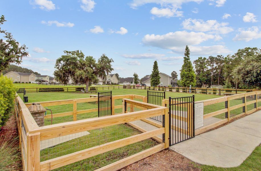 Community amenities in , Moncks Corner (Image 65).