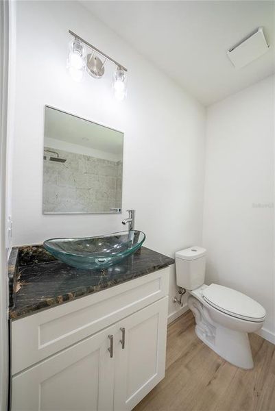 Furnished interior view inside a new home in , Williston (Image 7).