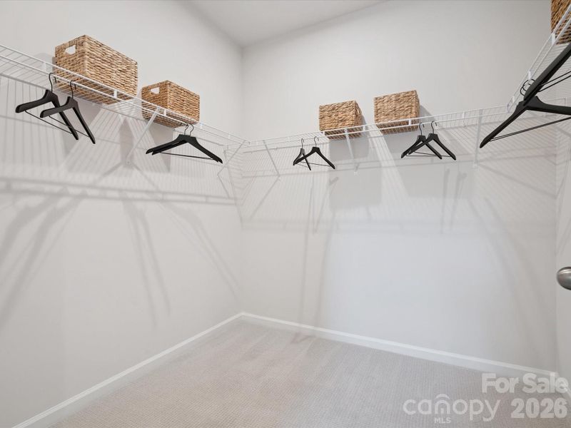 Conceptual Conceptual