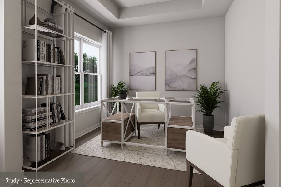 The Antoinette - Study