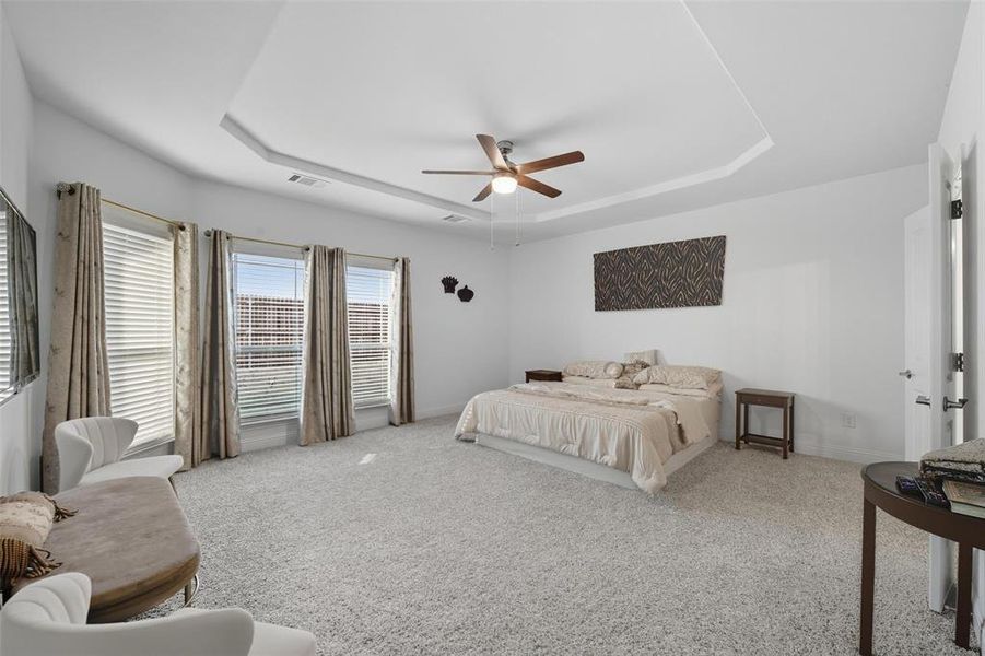 Bedroom featuring a tray ceiling, carpet flooring, and a ceiling fan Bedroom featuring a tray ceiling, carpet flooring, and a ceiling fan