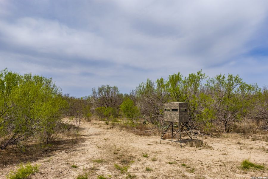 Natural landscape and outdoor views near in Crystal City (Image 28). Natural landscape and outdoor views near in Crystal City (Image 28).