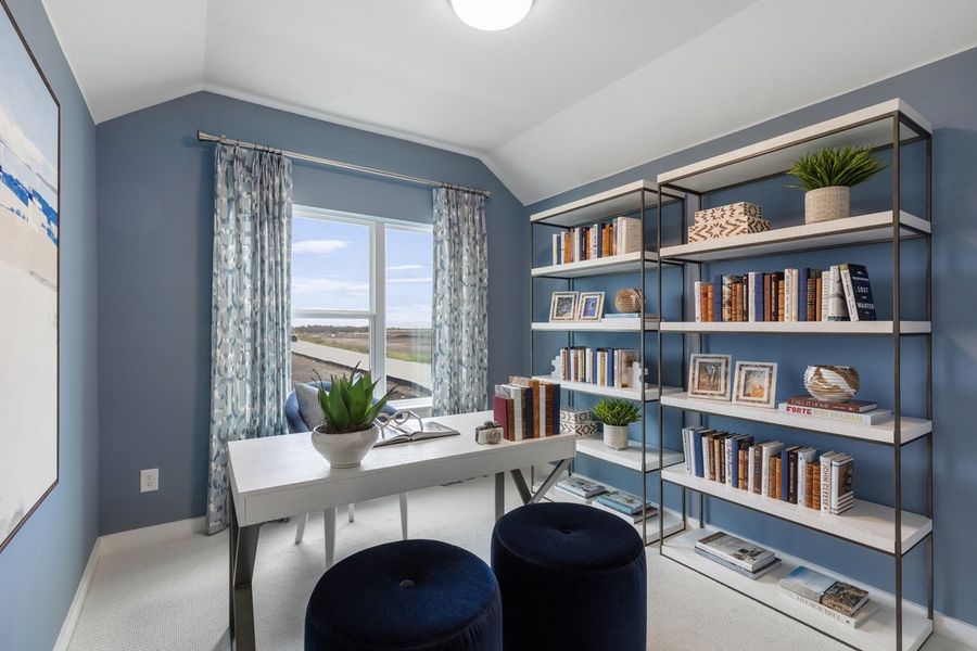 Representative Study - some options shown