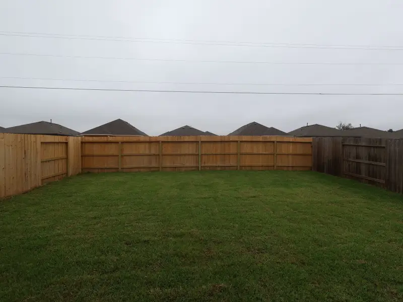Backyard Backyard