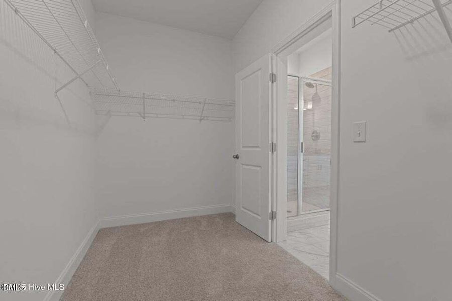 20250919205829091401000000-o 20250919205829091401000000-o