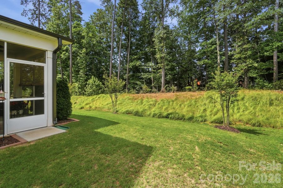 A glimpse of the backyard!