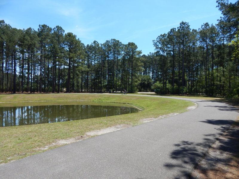 Natural landscape and outdoor views near  in Summerville (Image 20).