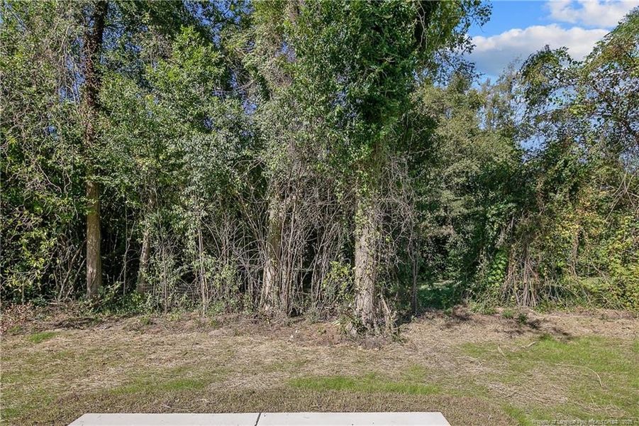 Private backyard Private backyard