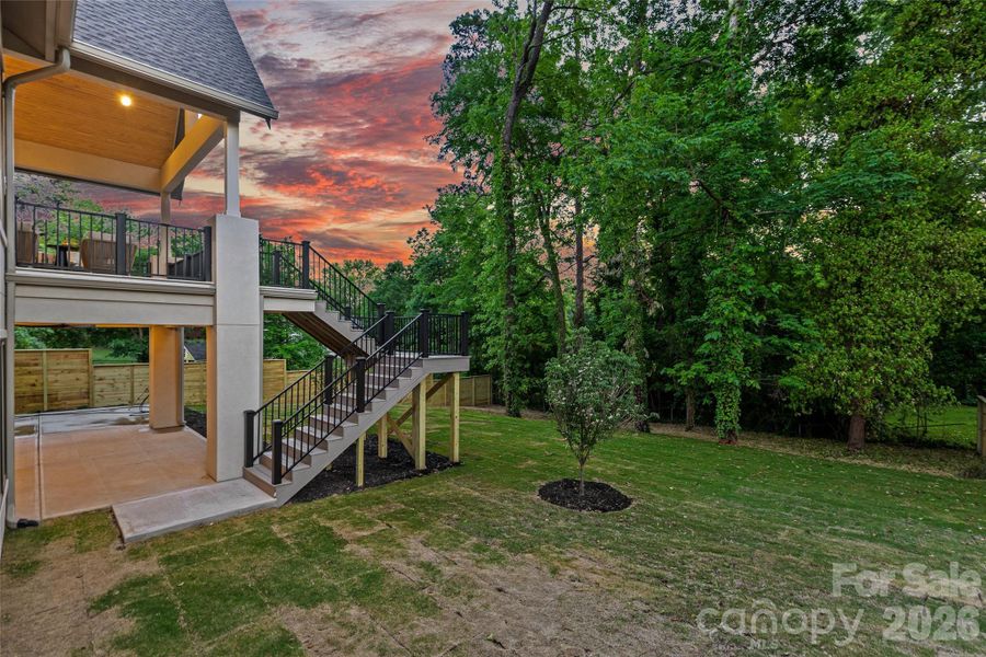 Backyard