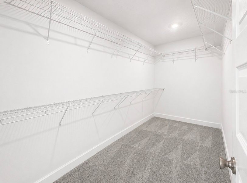 Spacious, unfurnished interior of a new home in Harmony Central, Harmony (Image 14).
