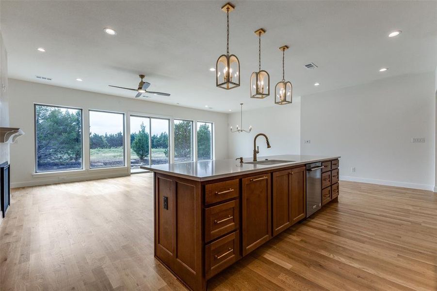 Kitchen with a sink, stainless steel dishwasher, a chandelier, light wood-style flooring, and a ceiling fan
