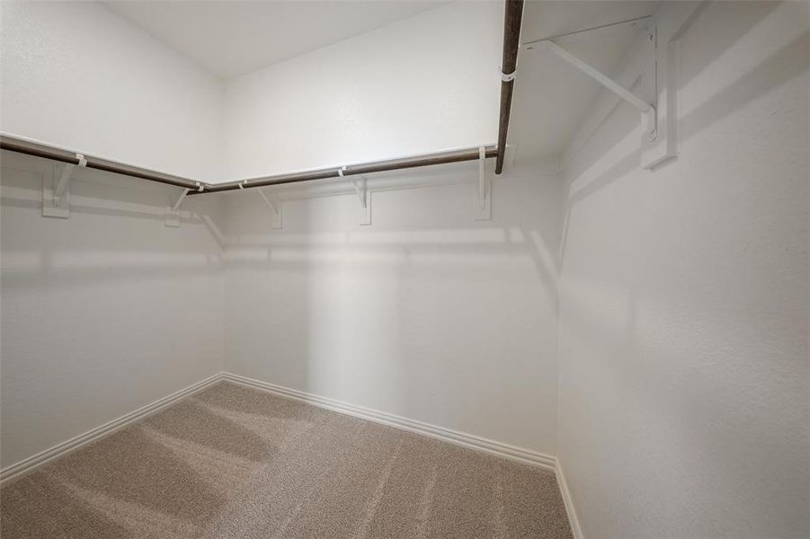 Walk in closet with carpet flooring