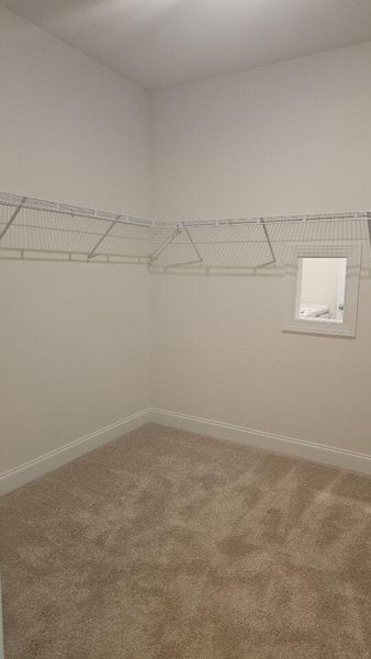 Spacious, unfurnished interior of a new home in The Enclave at French Quarter Creek, Huger (Image 20). Spacious, unfurnished interior of a new home in The Enclave at French Quarter Creek, Huger (Image 20).