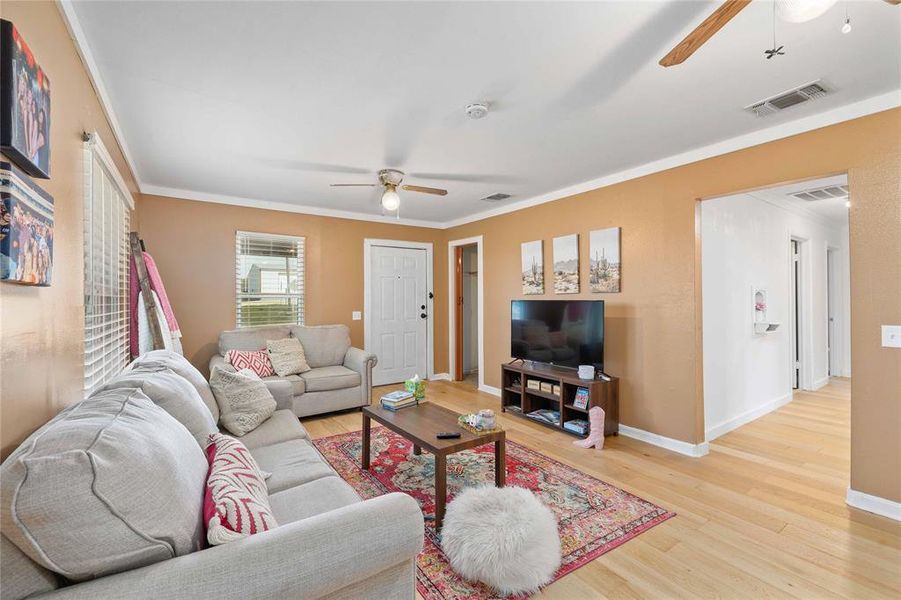 Living room featuring ceiling fan, crown molding, and light wood finished floors Living room featuring ceiling fan, crown molding, and light wood finished floors